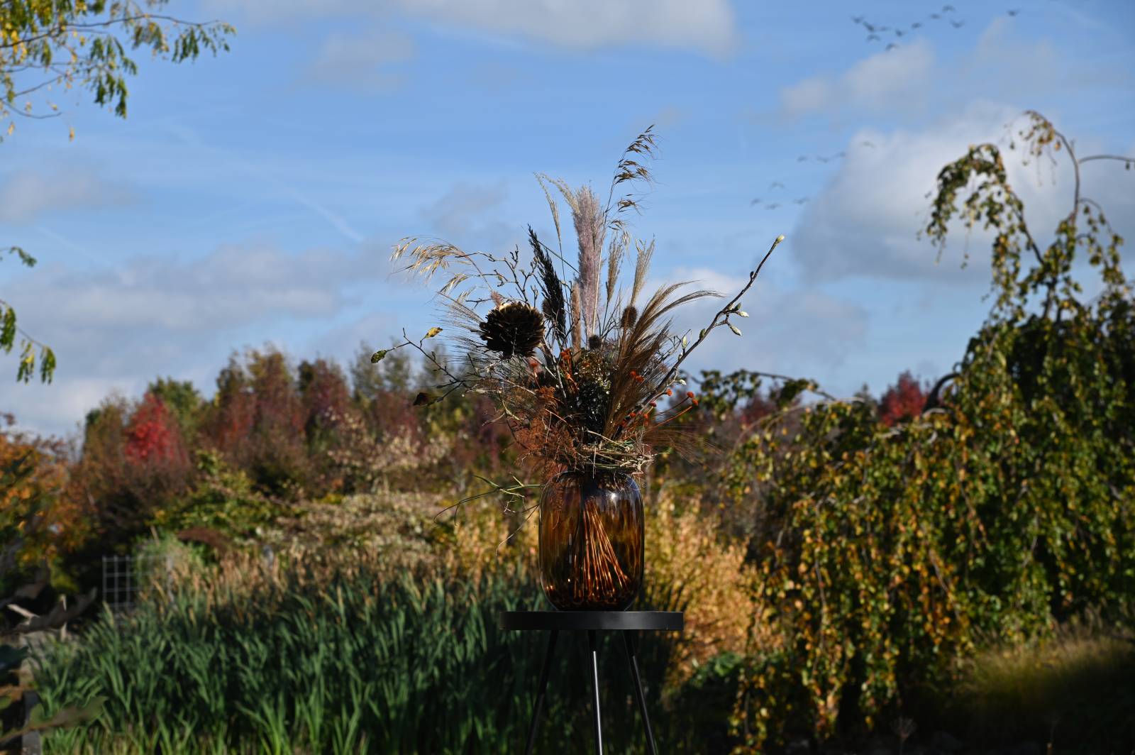 /media/rmkbp5y5/winkel-bloemenwinkel-bloemist-bloemen-bestellen-gallery-groene-tuin-zevenhuizen_slider-07.jpg